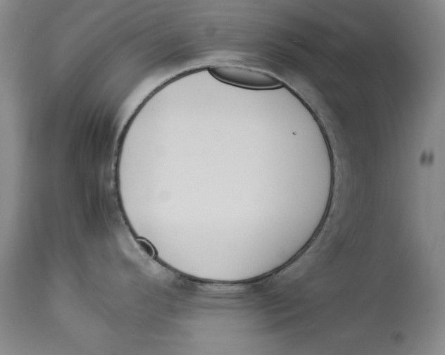 X0000114151296200911051434