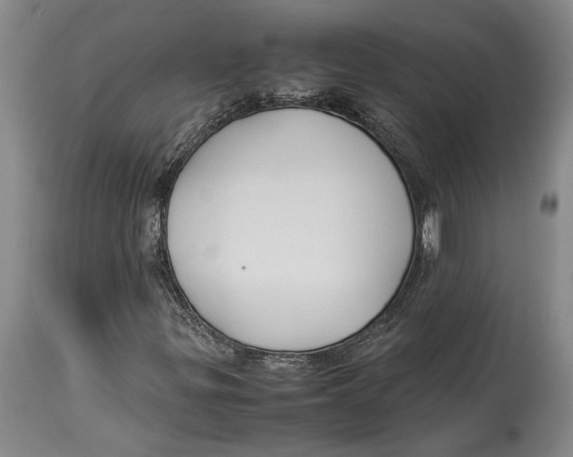 X0000114151299200911051433