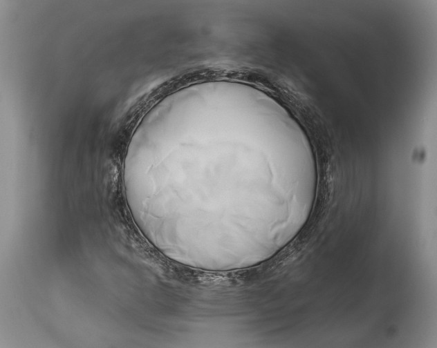 X0000114151302200911051434