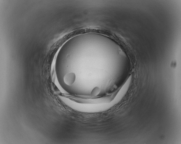 X0000114151303200911051434