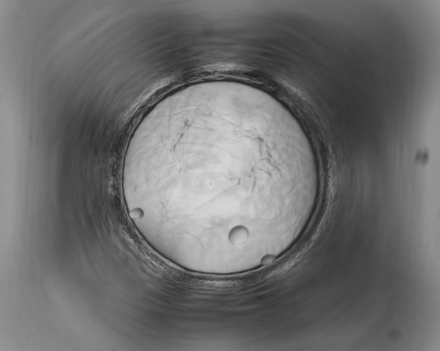 X0000114151305200911051434