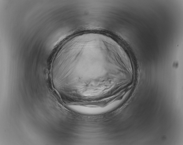 X0000114151306200911051434