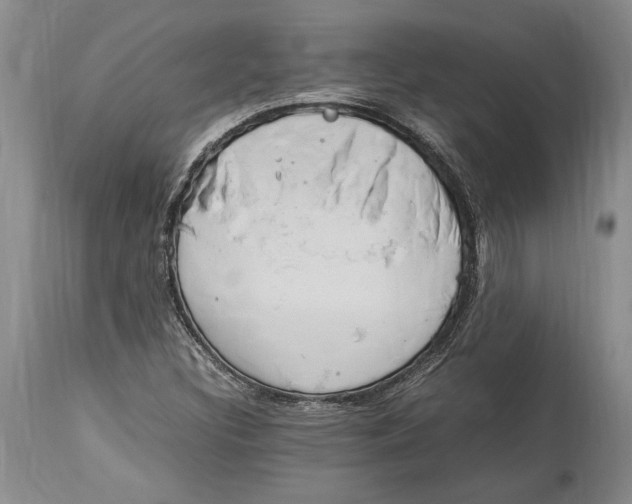 X0000114151308200911051434