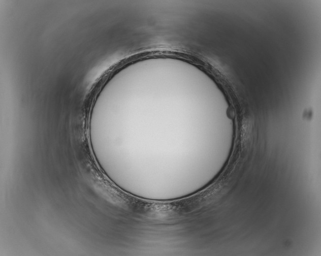 X0000114151310200911051434