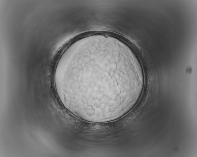 X0000114151311200911051434