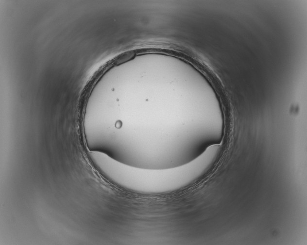 X0000114151312200911051434