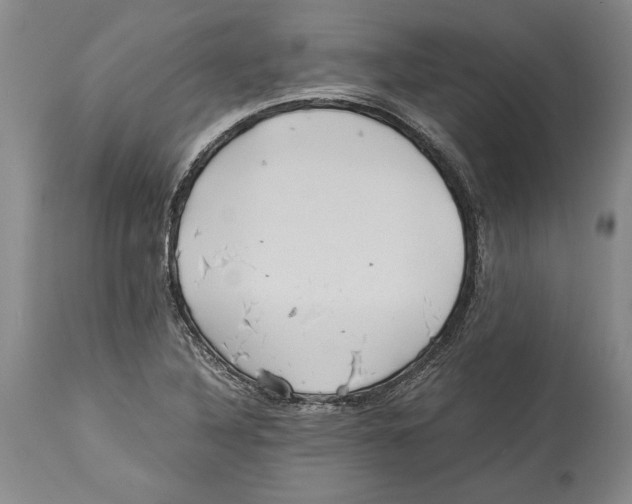 X0000114151316200911051434