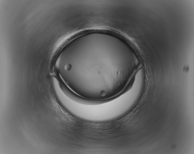X0000114151319200911051434
