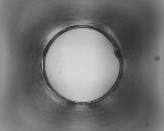 X0000114151320200911051434