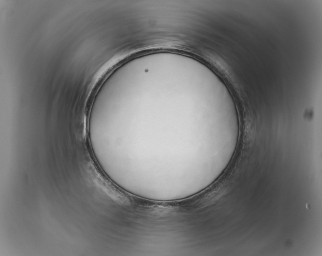 X0000114151324200911051434