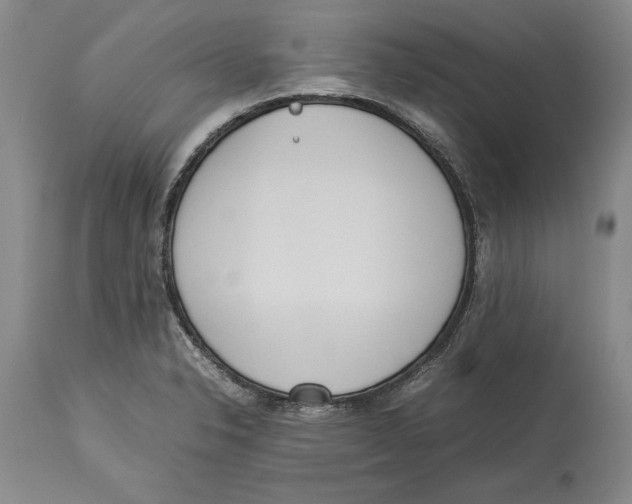 X0000114151326200911051434