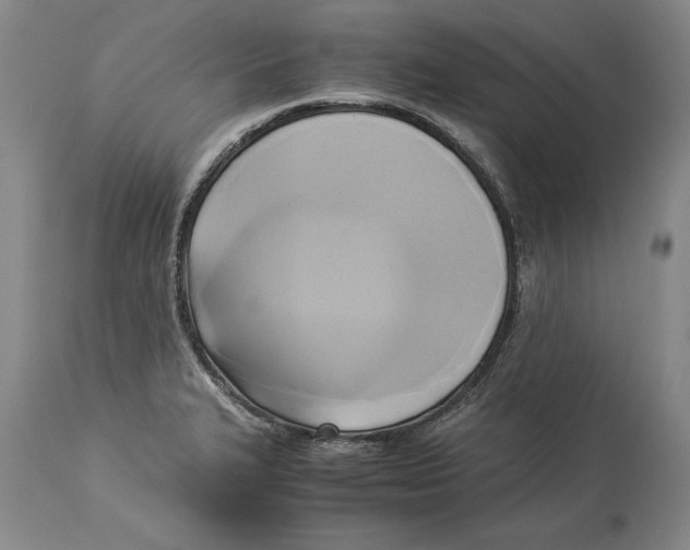X0000114151327200911051434