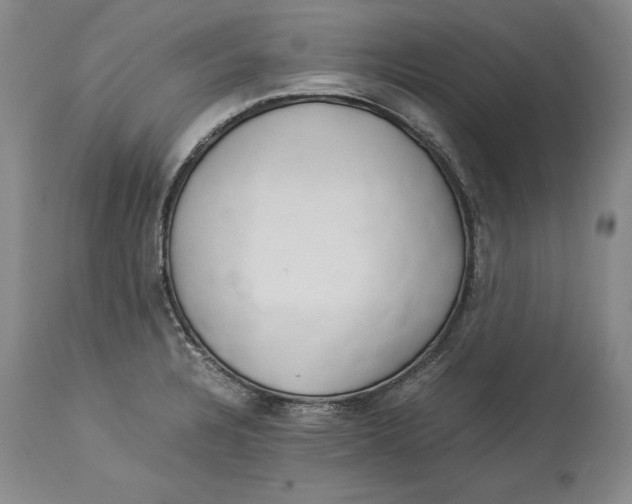 X0000114151328200911051434
