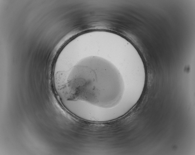 X0000114151331200911051434