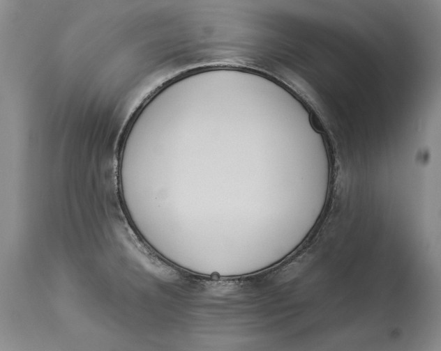 X0000114151332200911051434