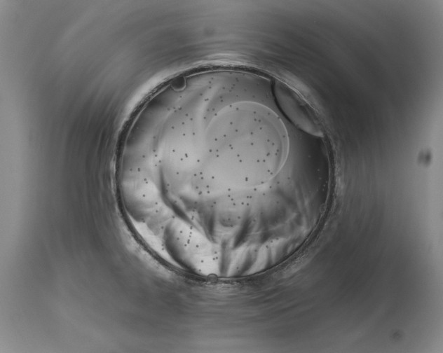 X0000114151334200911051434