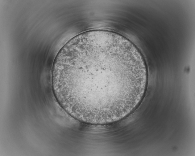 X0000114151338200911051434