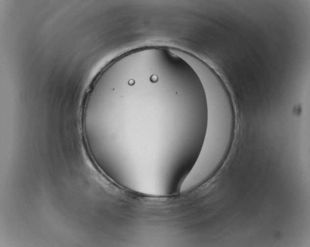 X0000114151342200911051434