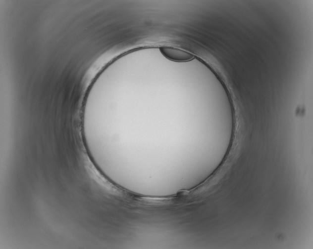 X0000114151344200911051434