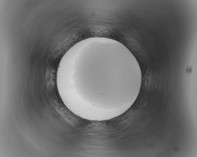 X0000114151346200911051433