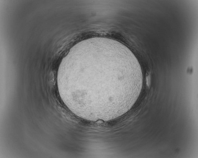 X0000114151347200911051433