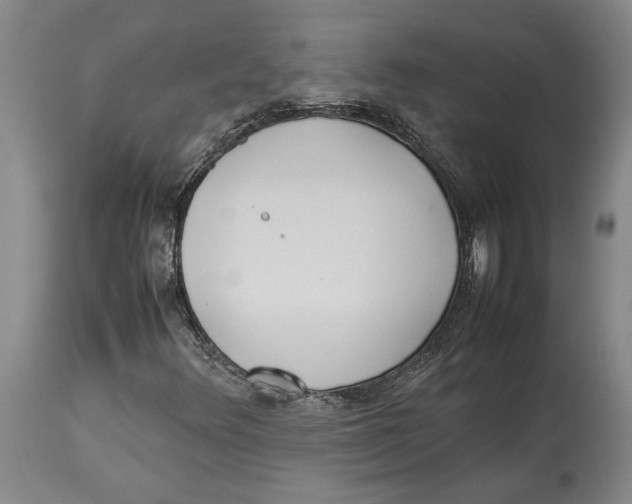 X0000114151348200911051433