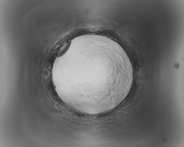 X0000114151349200911051433