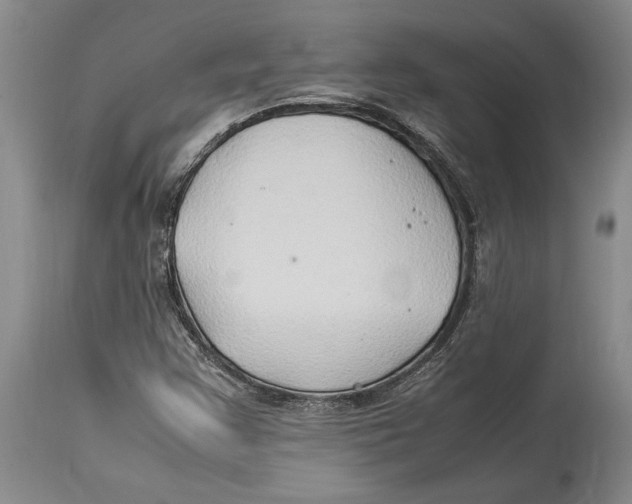X0000114151355200911051433