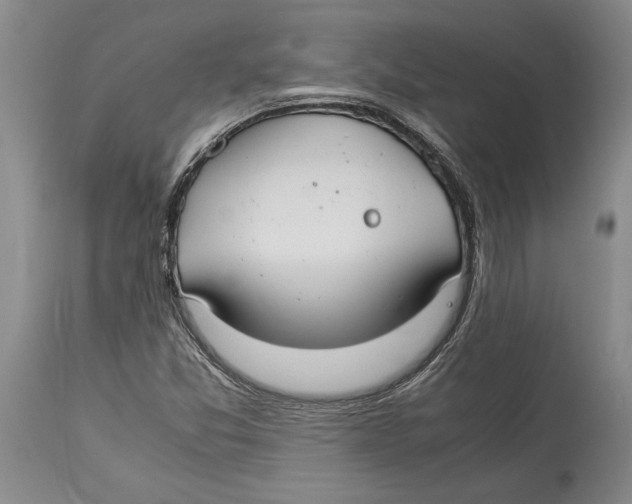 X0000114151357200911051433