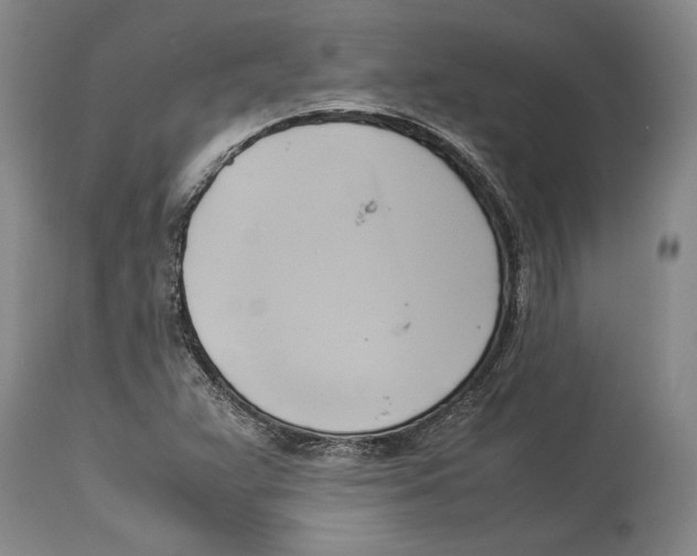 X0000114151359200911051433