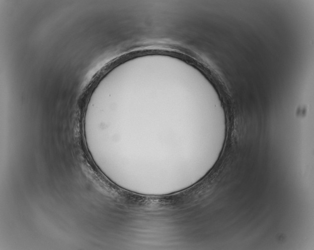 X0000114151360200911051433