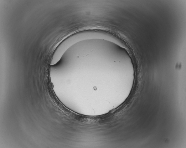 X0000114151361200911051433