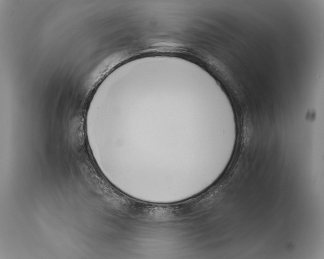 X0000114151362200911051433