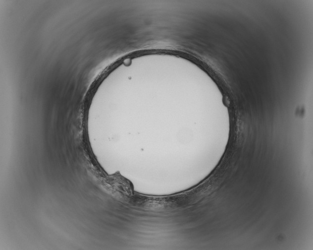 X0000114151364200911051433