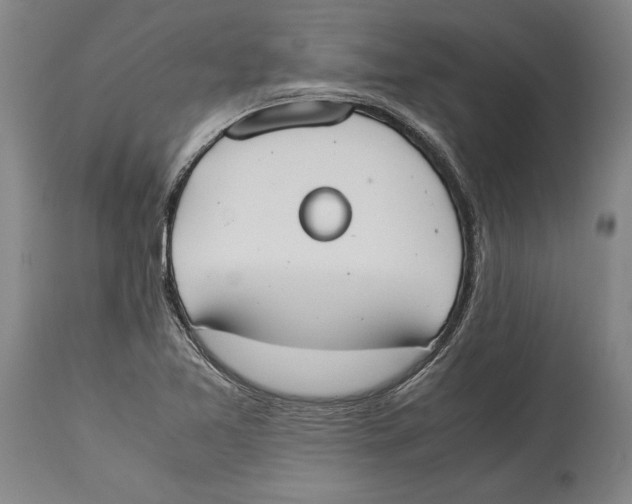 X0000114151365200911051433