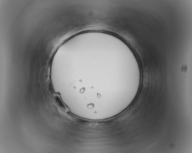 X0000114151366200911051433