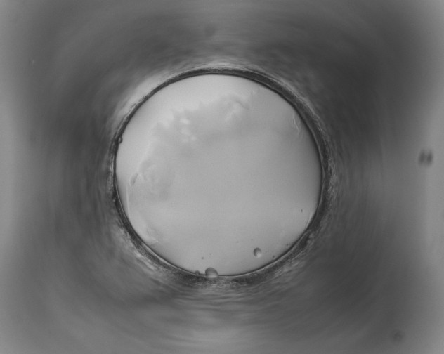 X0000114151367200911051433