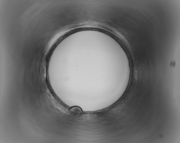 X0000114151368200911051433