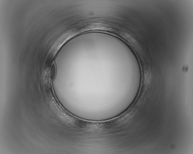 X0000114151369200911051433