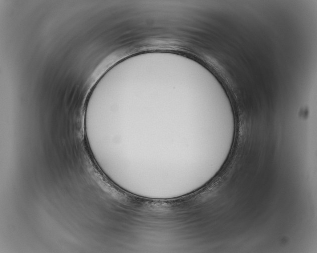 X0000114151370200911051433
