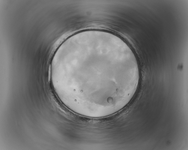 X0000114151371200911051433