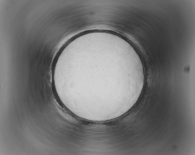X0000114151372200911051433