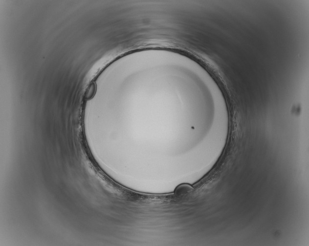 X0000114151373200911051433