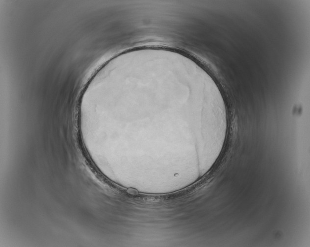 X0000114151375200911051433