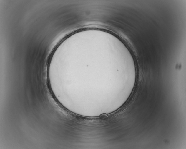 X0000114151376200911051433