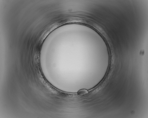 X0000114151377200911051433
