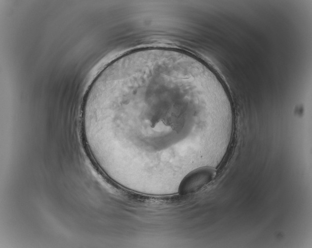 X0000114151379200911051433