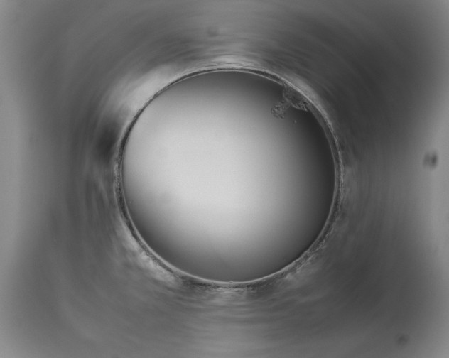 X0000114151381200911051433