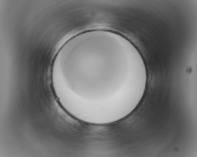 X0000114151382200911051433