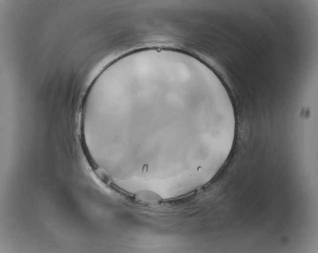 X0000114151383200911051433